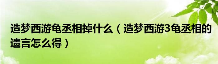 造梦西游龟丞相掉什么（造梦西游3龟丞相的遗言怎么得）