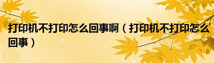 打印机不打印怎么回事啊（打印机不打印怎么回事）