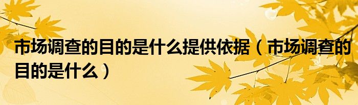 市场调查的目的是什么提供依据（市场调查的目的是什么）
