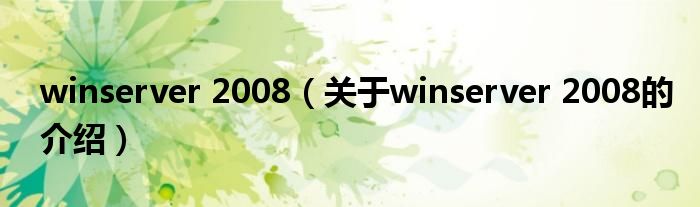 winserver 2008（关于winserver 2008的介绍）