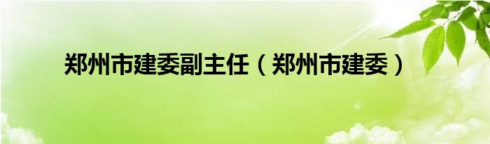 郑州市建委副主任（郑州市建委）