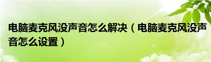 电脑麦克风没声音怎么解决（电脑麦克风没声音怎么设置）