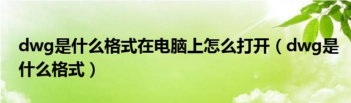 dwg是什么格式在电脑上怎么打开（dwg是什么格式）
