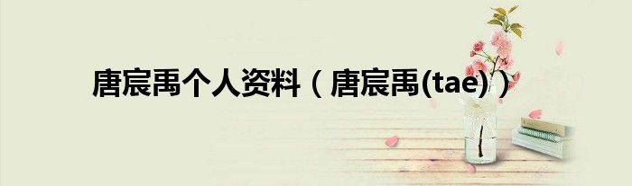 唐宸禹个人资料（唐宸禹(tae)）