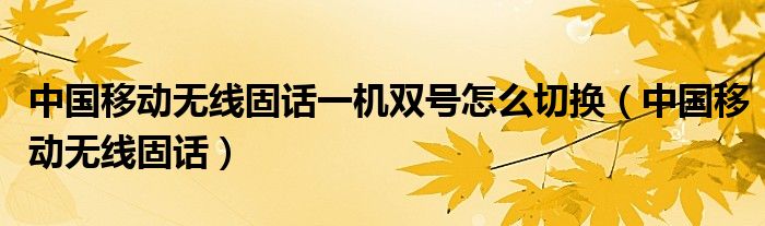 中国移动无线固话一机双号怎么切换（中国移动无线固话）