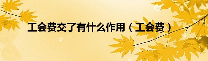 工会费交了有什么作用（工会费）