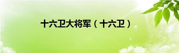 十六卫大将军（十六卫）