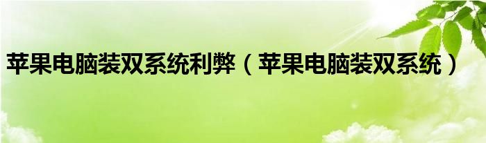 苹果电脑装双系统利弊（苹果电脑装双系统）