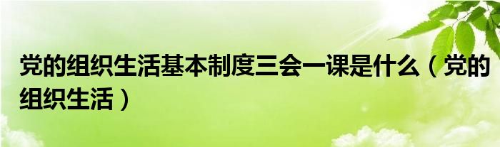 党的组织生活基本制度三会一课是什么（党的组织生活）
