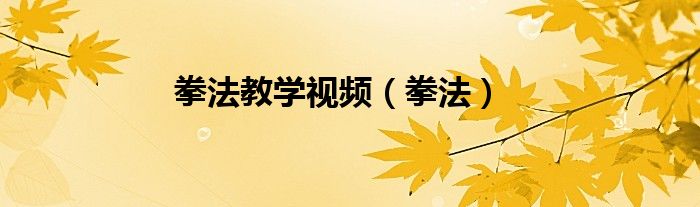 拳法教学视频（拳法）