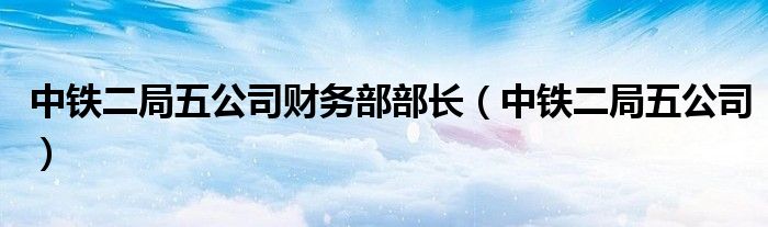 中铁二局五公司财务部部长（中铁二局五公司）