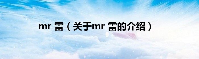 mr 雷（关于mr 雷的介绍）