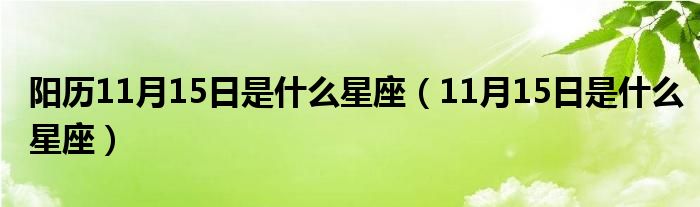 阳历11月15日是什么星座（11月15日是什么星座）