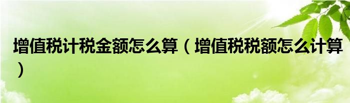 增值税计税金额怎么算（增值税税额怎么计算）
