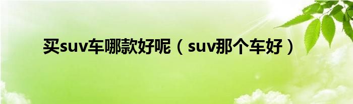 买suv车哪款好呢（suv那个车好）