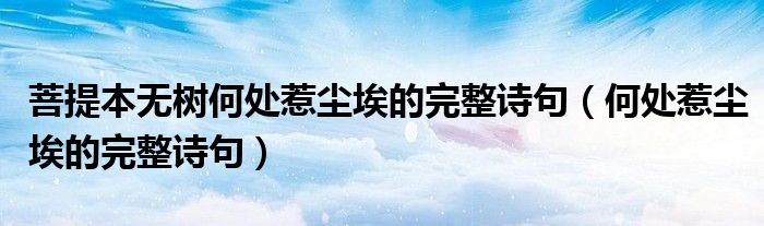 菩提本无树何处惹尘埃的完整诗句（何处惹尘埃的完整诗句）