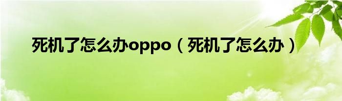 死机了怎么办oppo（死机了怎么办）