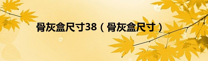 骨灰盒尺寸38（骨灰盒尺寸）