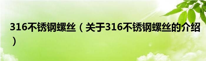 316不锈钢螺丝（关于316不锈钢螺丝的介绍）