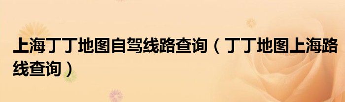 上海丁丁地图自驾线路查询（丁丁地图上海路线查询）