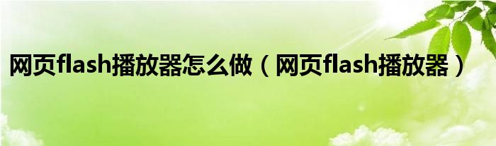 网页flash播放器怎么做（网页flash播放器）