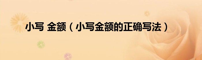 小写 金额（小写金额的正确写法）