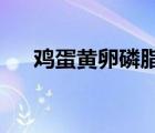 鸡蛋黄卵磷脂的功效与作用及食用方法
