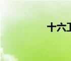 十六卫大将军（十六卫）