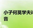 小子何莫学夫诗诗可以兴可以观可以群翻译读音