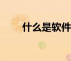 什么是软件环境（什么叫软件环境）