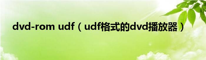 dvd-rom udf（udf格式的dvd播放器）