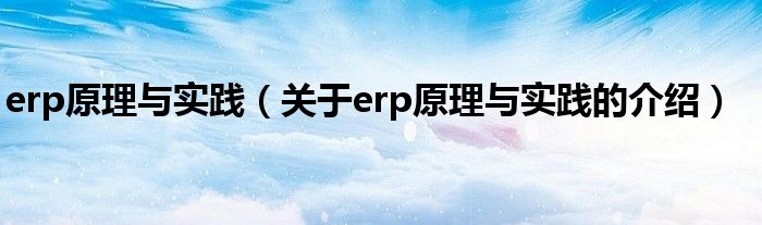 erp原理与实践（关于erp原理与实践的介绍）