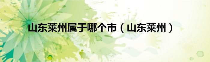 山东莱州属于哪个市（山东莱州）