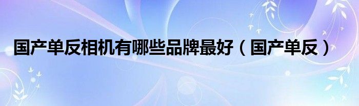 国产单反相机有哪些品牌最好（国产单反）