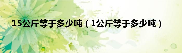 15公斤等于多少吨（1公斤等于多少吨）