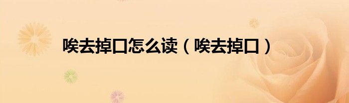 唉去掉口怎么读（唉去掉口）