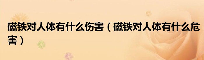 磁铁对人体有什么伤害（磁铁对人体有什么危害）