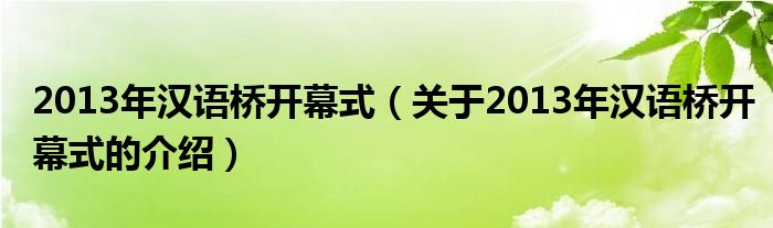2013年汉语桥开幕式（关于2013年汉语桥开幕式的介绍）