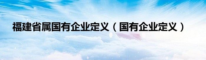 福建省属国有企业定义（国有企业定义）