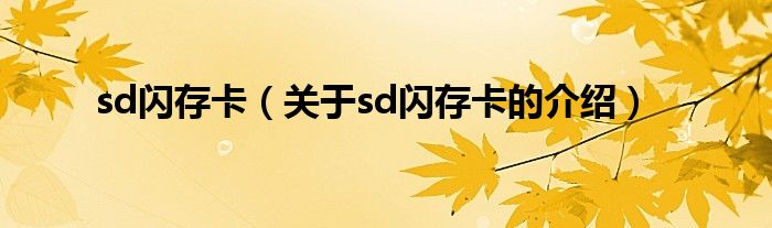 sd闪存卡（关于sd闪存卡的介绍）