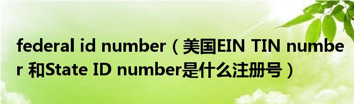 federal id number（美国EIN TIN number 和State ID number是什么注册号）