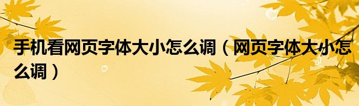 手机看网页字体大小怎么调（网页字体大小怎么调）-66绿色资源网-第8张图片