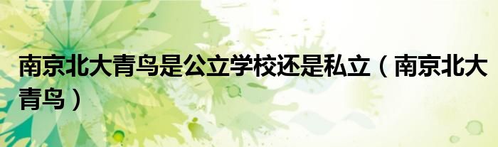 南京北大青鸟是公立学校还是私立（南京北大青鸟）