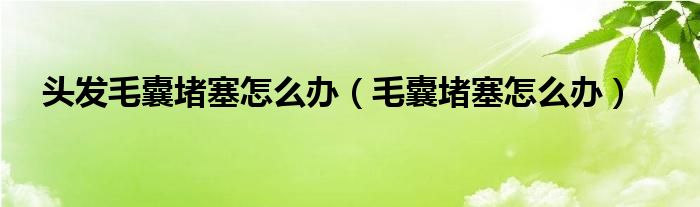 头发毛囊堵塞怎么办（毛囊堵塞怎么办）