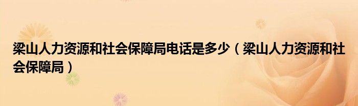 梁山人力资源和社会保障局电话是多少（梁山人力资源和社会保障局）