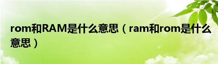 rom和RAM是什么意思（ram和rom是什么意思）