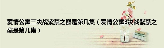 爱情公寓三决战紫禁之巅是第几集（爱情公寓3决战紫禁之巅是第几集）