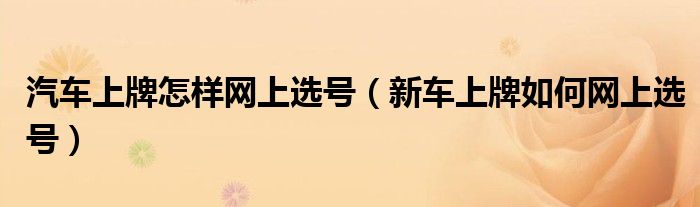 汽车上牌怎样网上选号（新车上牌如何网上选号）