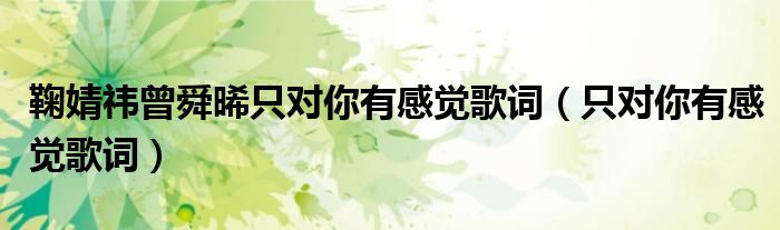 鞠婧祎曾舜晞只对你有感觉歌词（只对你有感觉歌词）