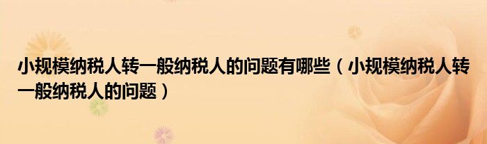 小规模纳税人转一般纳税人的问题有哪些（小规模纳税人转一般纳税人的问题）